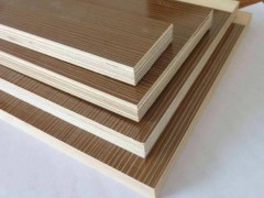 生態板001