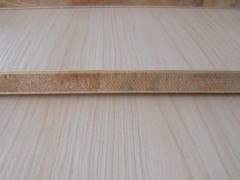 生態板003